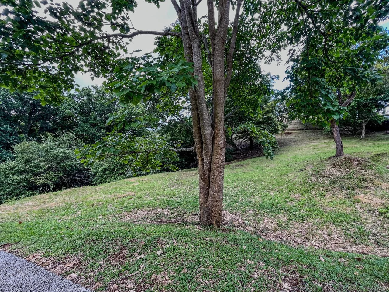 Home Construction Site For Sale in San Miguel - Gallery image 8
