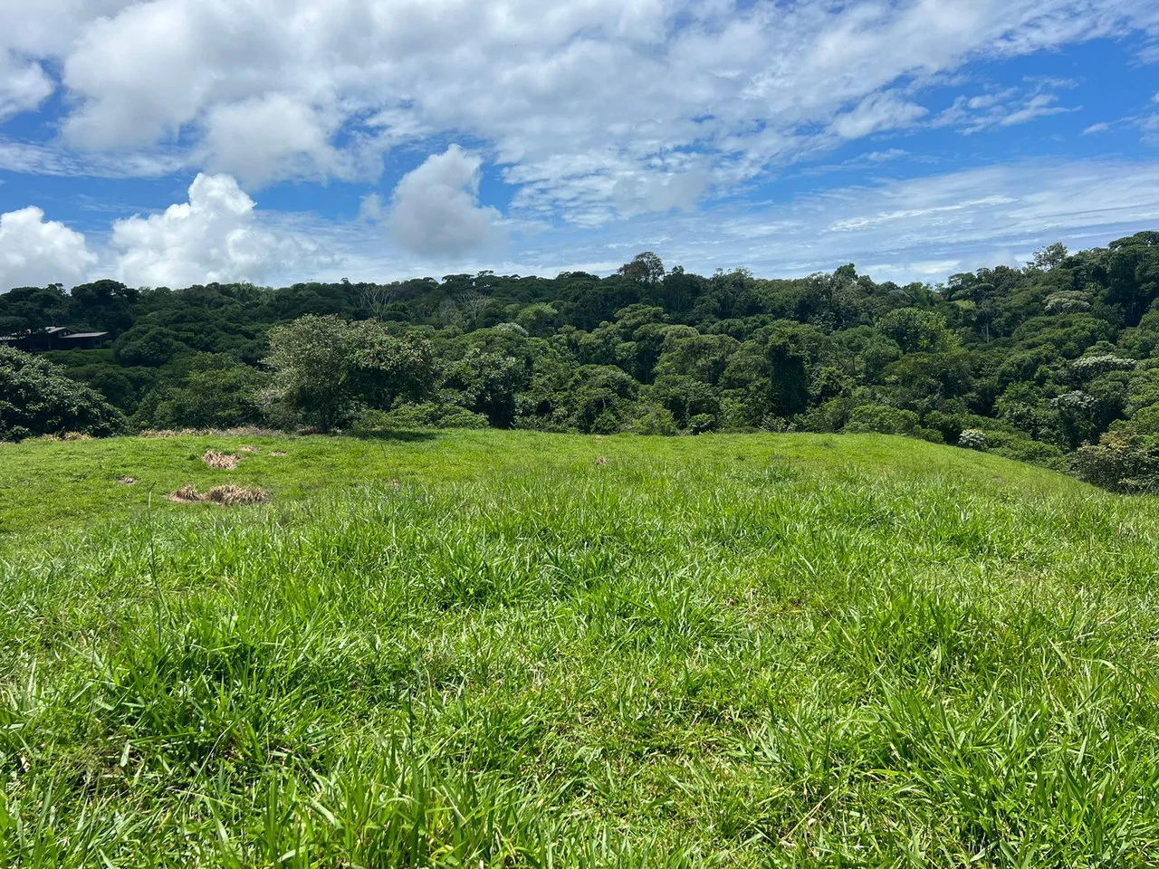 47 ACRES – Beautiful Mountain View Farm With Many Water Sources and Many Building Areas!!!! - Gallery image 7