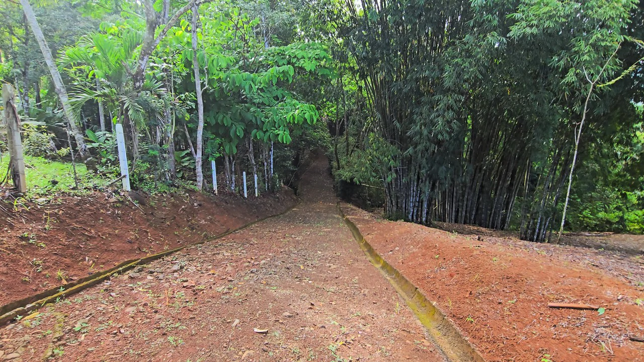 FINCA EN BARÚ GUSTAVO-149760: Mountain Agricultural Land For Sale in Barú - Gallery image 7