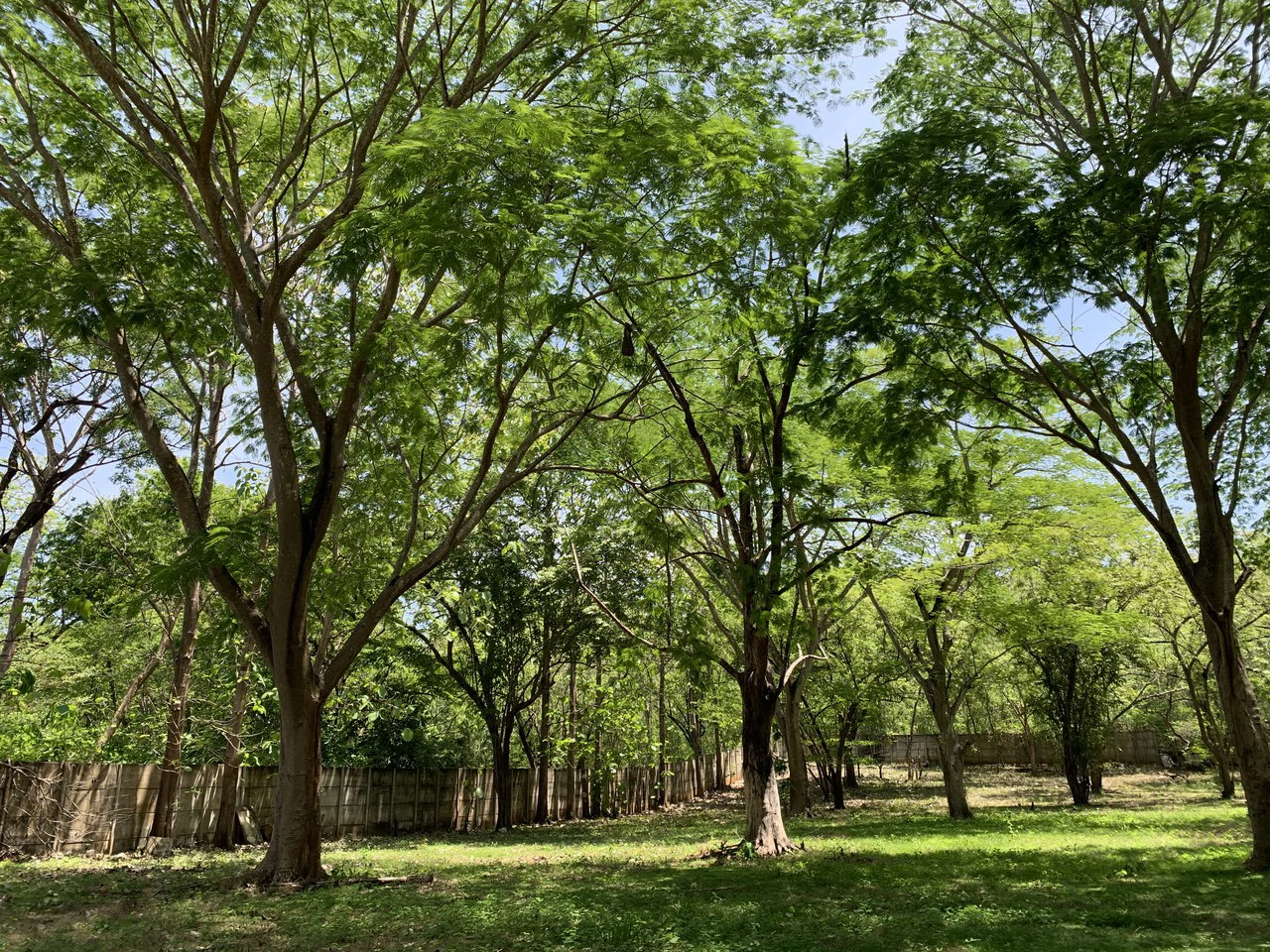 Conchal Bay: Ideal Lot To Build A Hotel Lodge By Conchal Beach - Gallery image 3