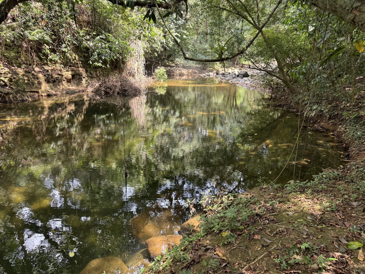 50 Acre Waterfall and River Paradise Above Dominical - Gallery image 58