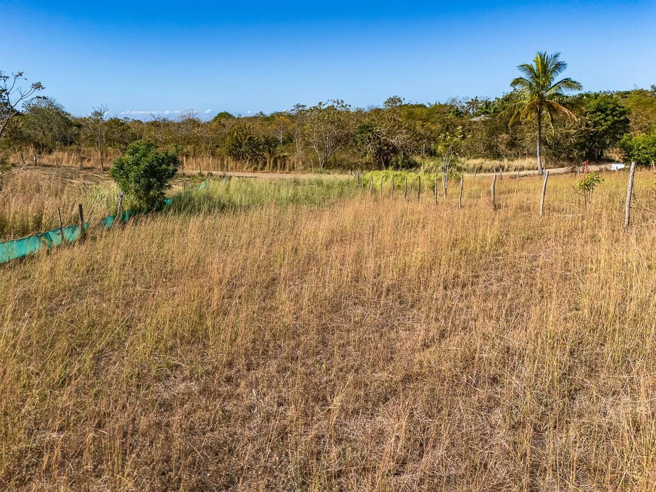 Playa Blanca Lot: Ocean View Lot Footsteps to White Sand Beach - Water Connected - Gallery image 3