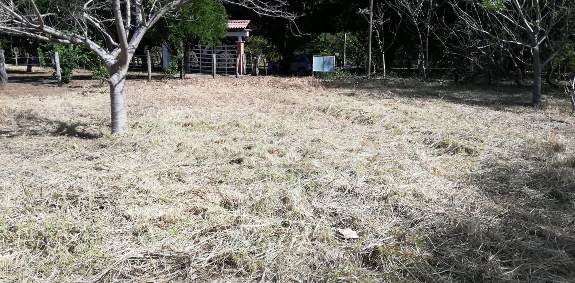 Property in Coco Beach - Gallery image 9