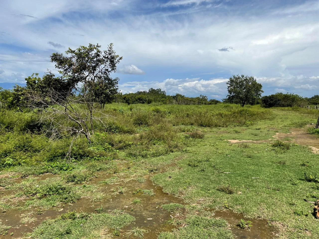Airport Liberia Top commercial location huge property for sale - Gallery image 12