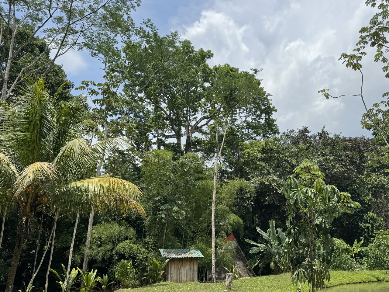 50 Acre Waterfall and River Paradise Above Dominical - Gallery image 67