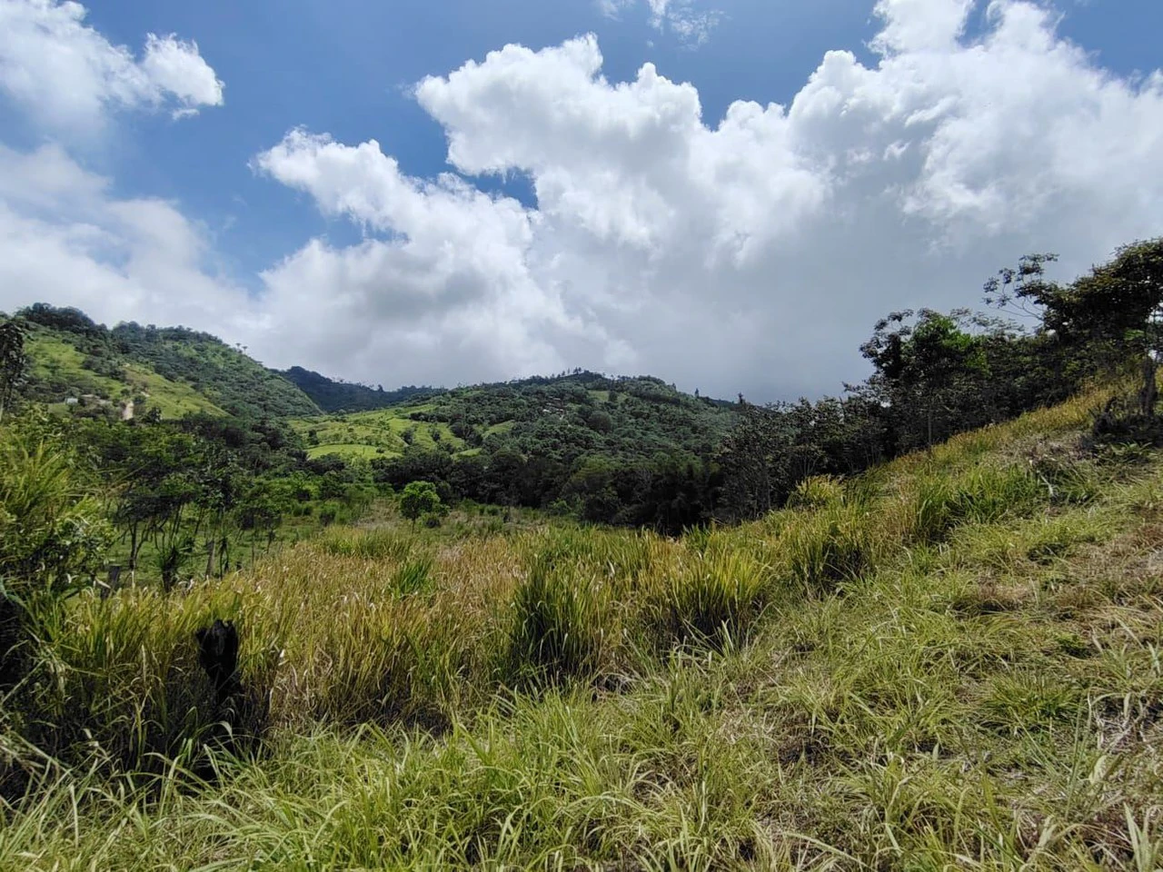 Se vende propiedad de 13494m2 en Rosario Pacuar, Pérez Zeledón.: Countryside Home Construction Site For Sale in El Rosario de Pacuar - Gallery image 6