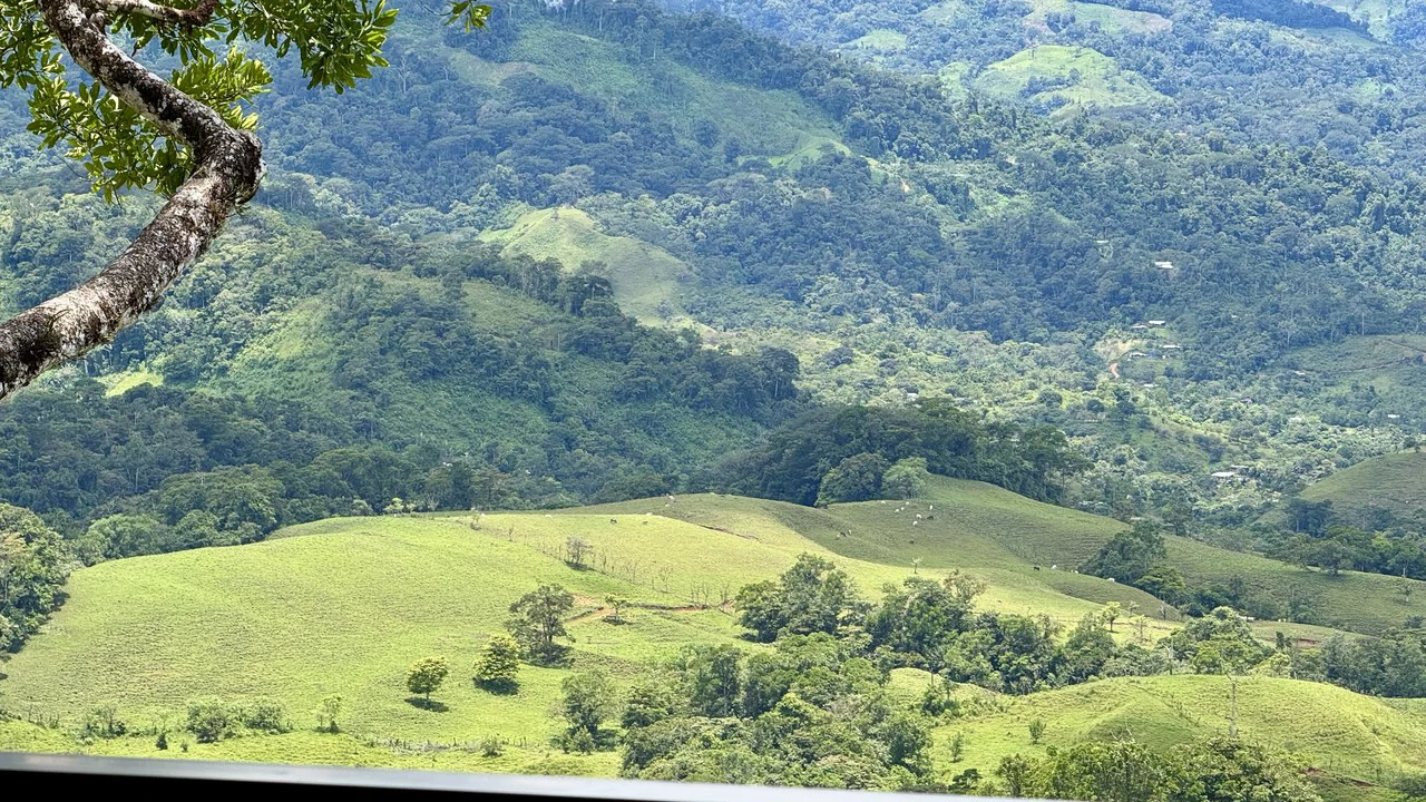 Spring, Waterfalls and more!  Farm in San Vito Limoncito! - Gallery image 4