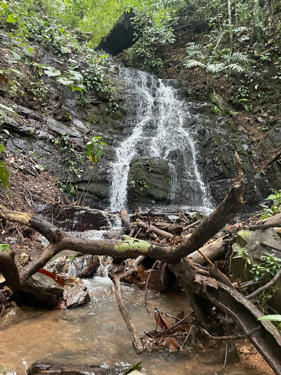 TROPICAL MASTERPIECE – 61.78 ACRES OF OCEANVIEW BLISS WITH WATERFALL: Mountain Development Parcel For Sale in Tres Rios - Gallery image 12