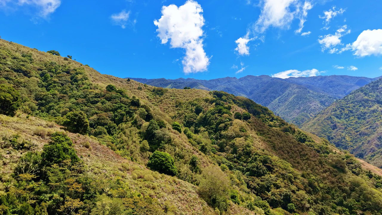 Mountain Agricultural Land For Sale in Herradura - Gallery image 3