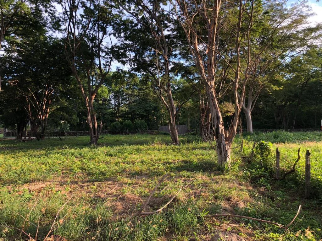 Large Commercial Property in Playa Hermosa, Guanacaste, Costa Rica - Gallery image 5