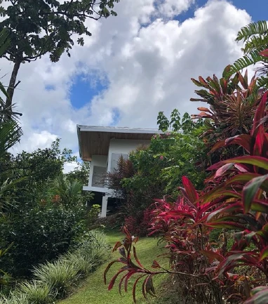 FLOWERS OF PARADISE - Artists Villa with Character - Gallery image 10