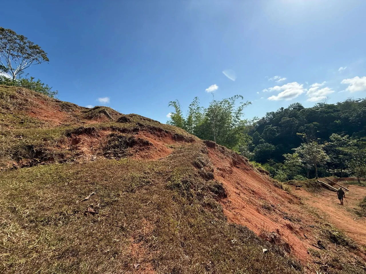 11.4 Hectare Mountain Estate: Lush Forest, River & Farm Potential in Arenal Puriscal , San Jose - Gallery image 19