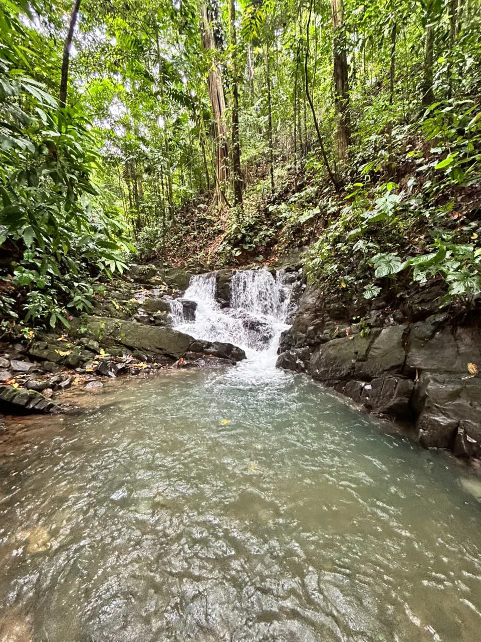Finca Las Cataratas in Ballena: Mountain Home Construction Site For Sale in Bahía Ballena - Gallery image 27