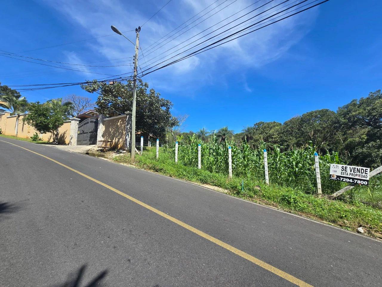 Land for sale in Tambor, Alajuela - Gallery image 19