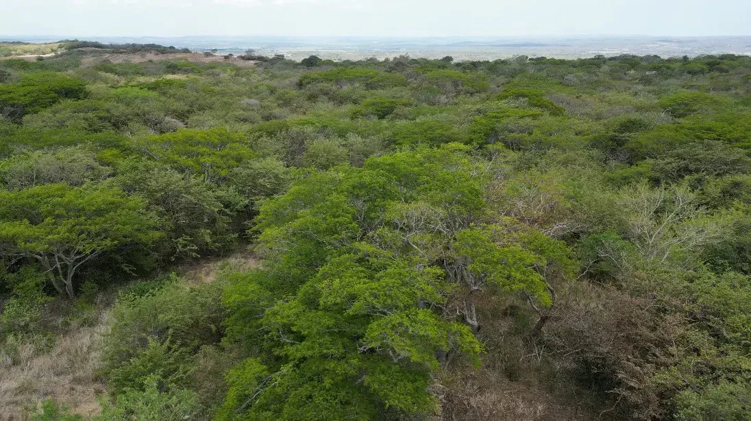 Land for Sale in Liberia, Guanacaste - Gallery image 2