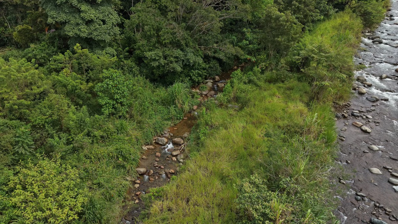 Mountain Home Construction Site For Sale in San Isidro del General - photo 14