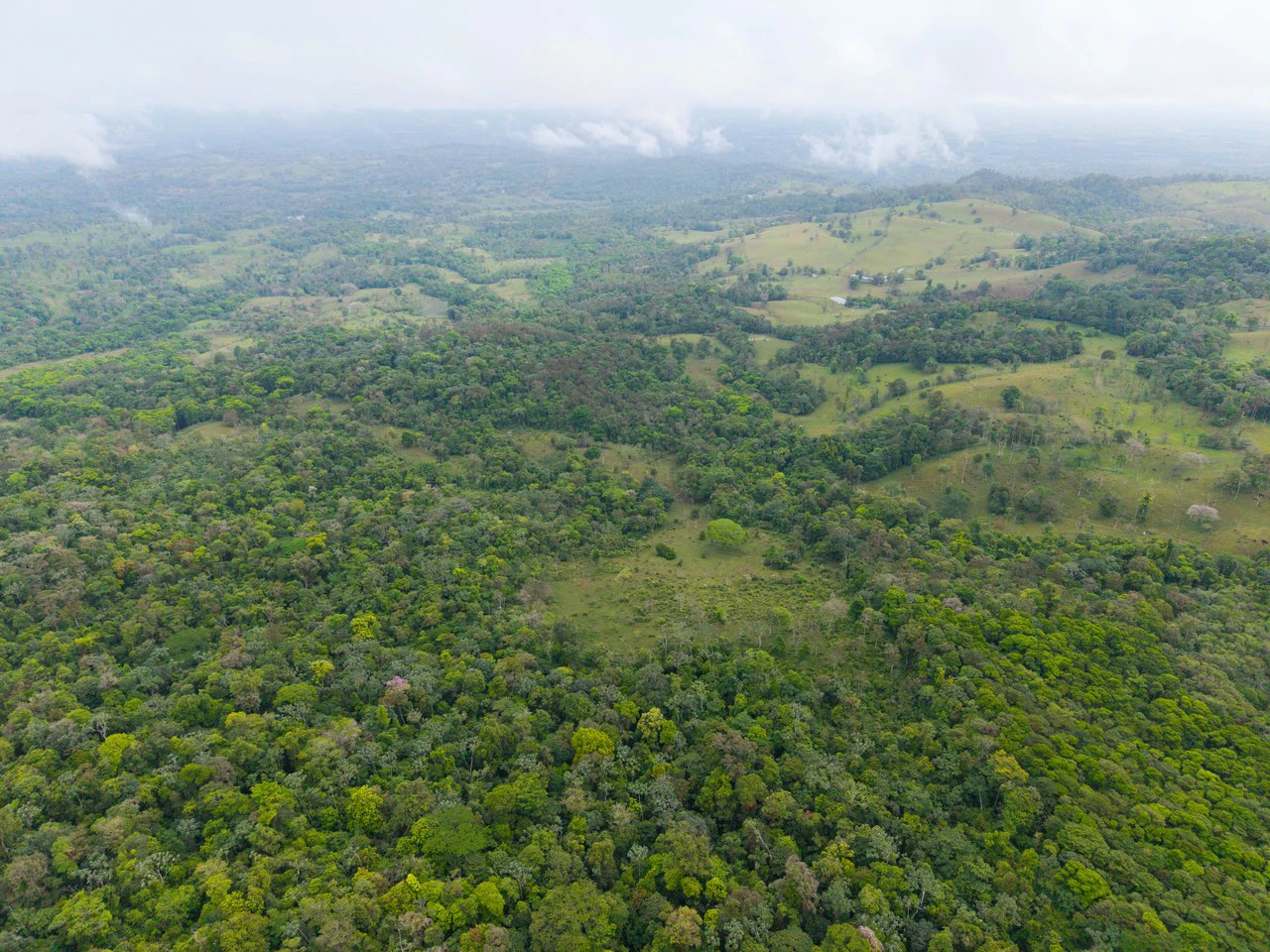 Finca Las Zompopas-Río Celeste: 113-Acre Biodiverse Property in Bijagua, Ideal for Eco-Tourism, Private Retreats, or Sustainable Development - Gallery image 37