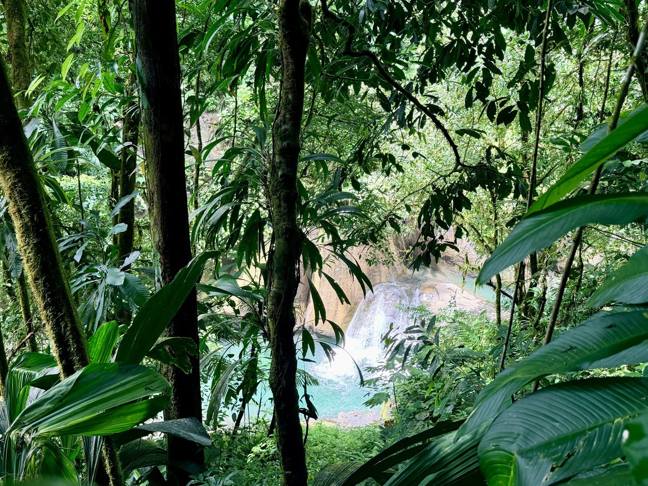 Uvita Development Farm - 40.47 Acres Estate - photo 23