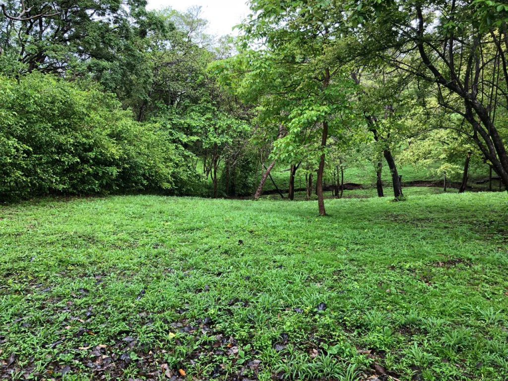 Lot in exclusive Residential, close to Beach Tamarindo - Gallery image 12