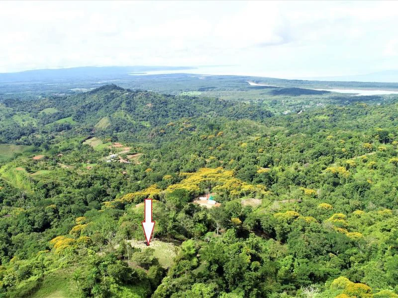 Captivating 3.15-Acre Property: Huge Pricedrop! Firesale Oceanview Lot in Tres Rios - Gallery image 45
