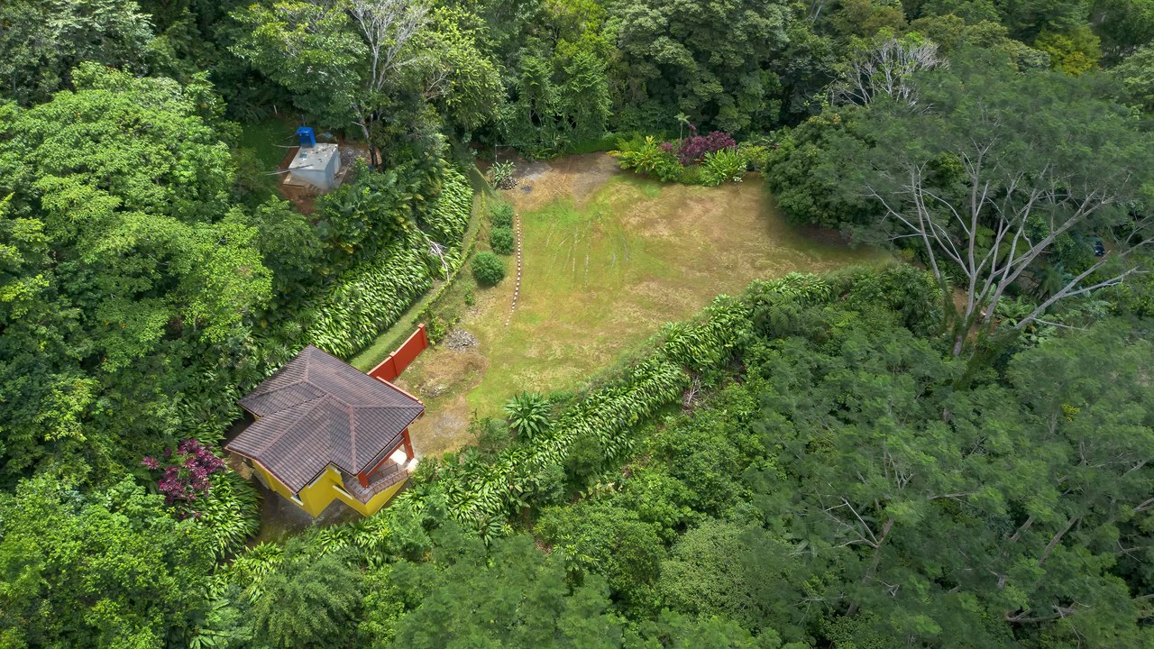 Build-Ready Ocean View Land with Guest House & Fruit Orchard | Tres Rios, Costa Rica