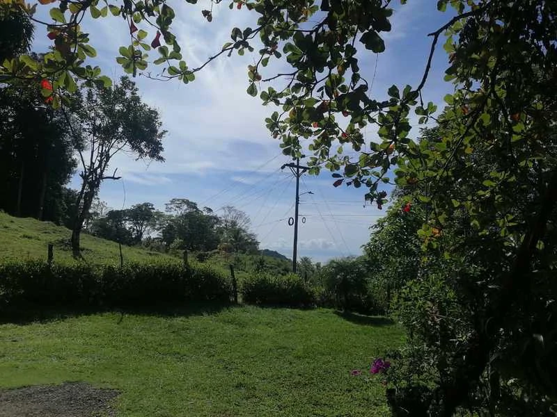69.16 Acres Property | Mountain & Top Ocean View with Small Home - Gallery image 24