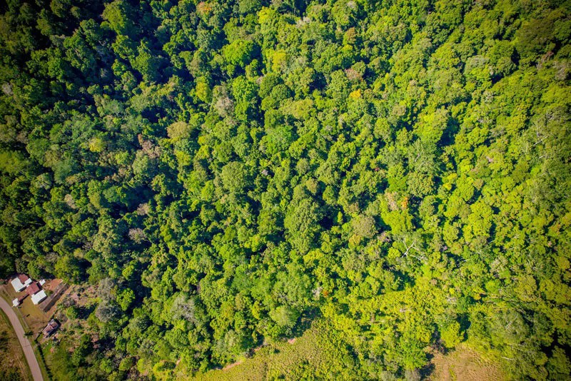Ocean View & Primary forest 55-ha Rincon de Osa - Gallery image 32