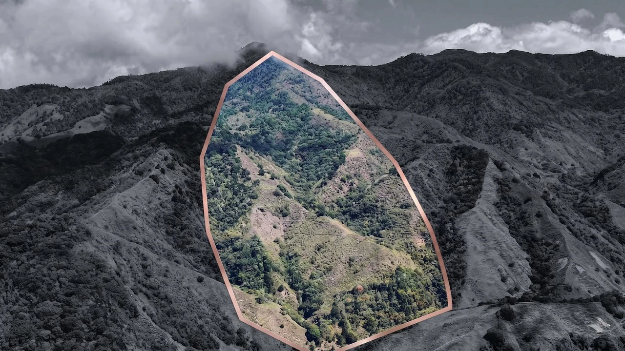 Mountain Agricultural Land For Sale in Herradura - Gallery image 2