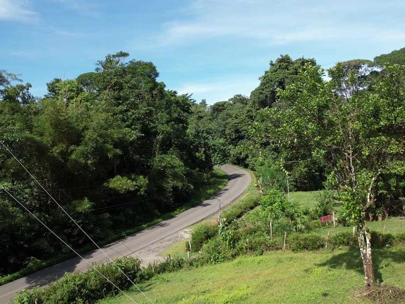 69.16 Acres Property | Mountain & Top Ocean View with Small Home - Gallery image 16