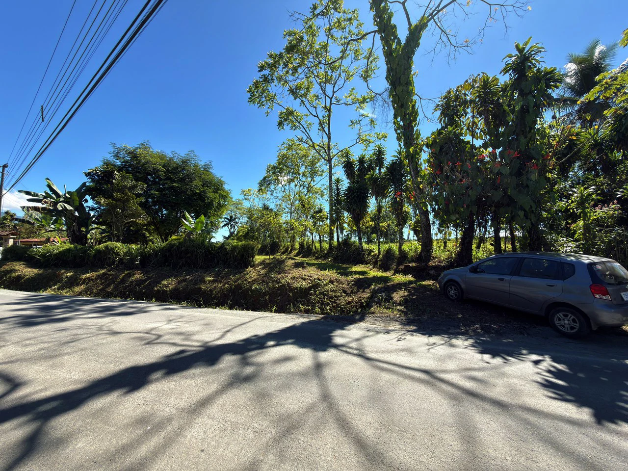Countryside Home Construction Site For Sale in San Pedro - Gallery image 13