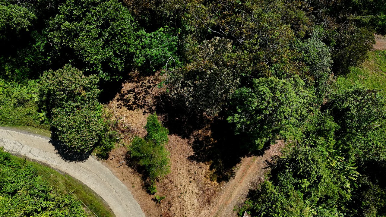 Ocean View Property with Plantel and Trails in Hatillo – Ready to Build: Mountain Home Construction Site For Sale in Hatillo - Gallery image 7
