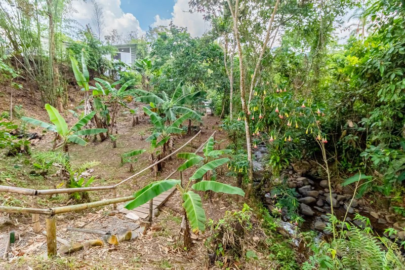 Casa San Pedrito: Beautiful house for sale in San Pedrito,(1,3hect) Perez Zeledon - Gallery image 12