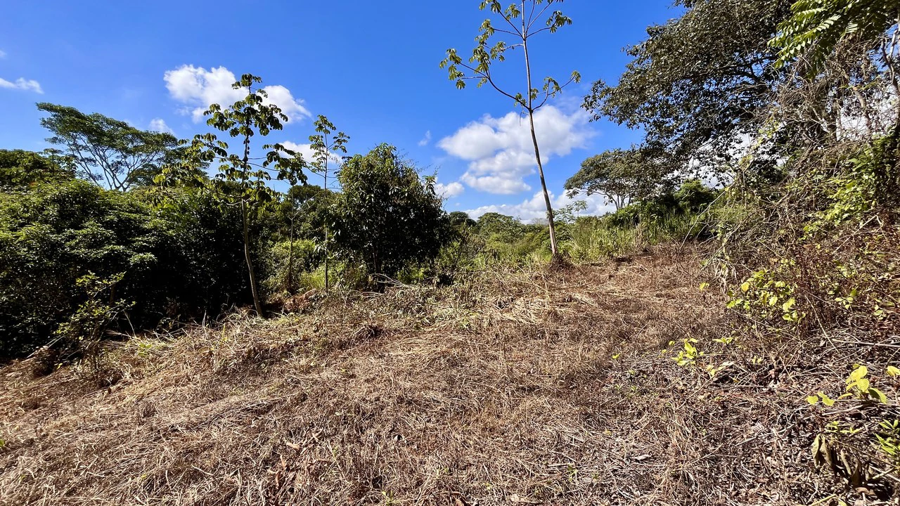 Home Construction Site For Sale in Pavones - Gallery image 26