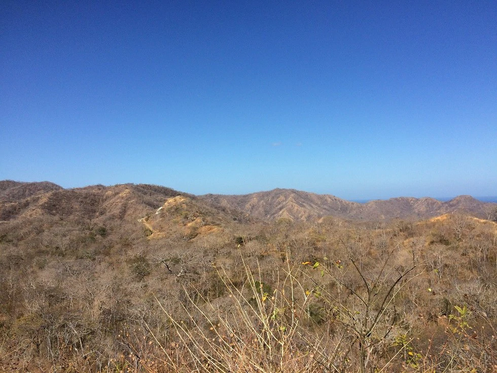 Ocean view property in the area of Guanacaste, great commercial opportunity near the Hotel Riu - Gallery image 7