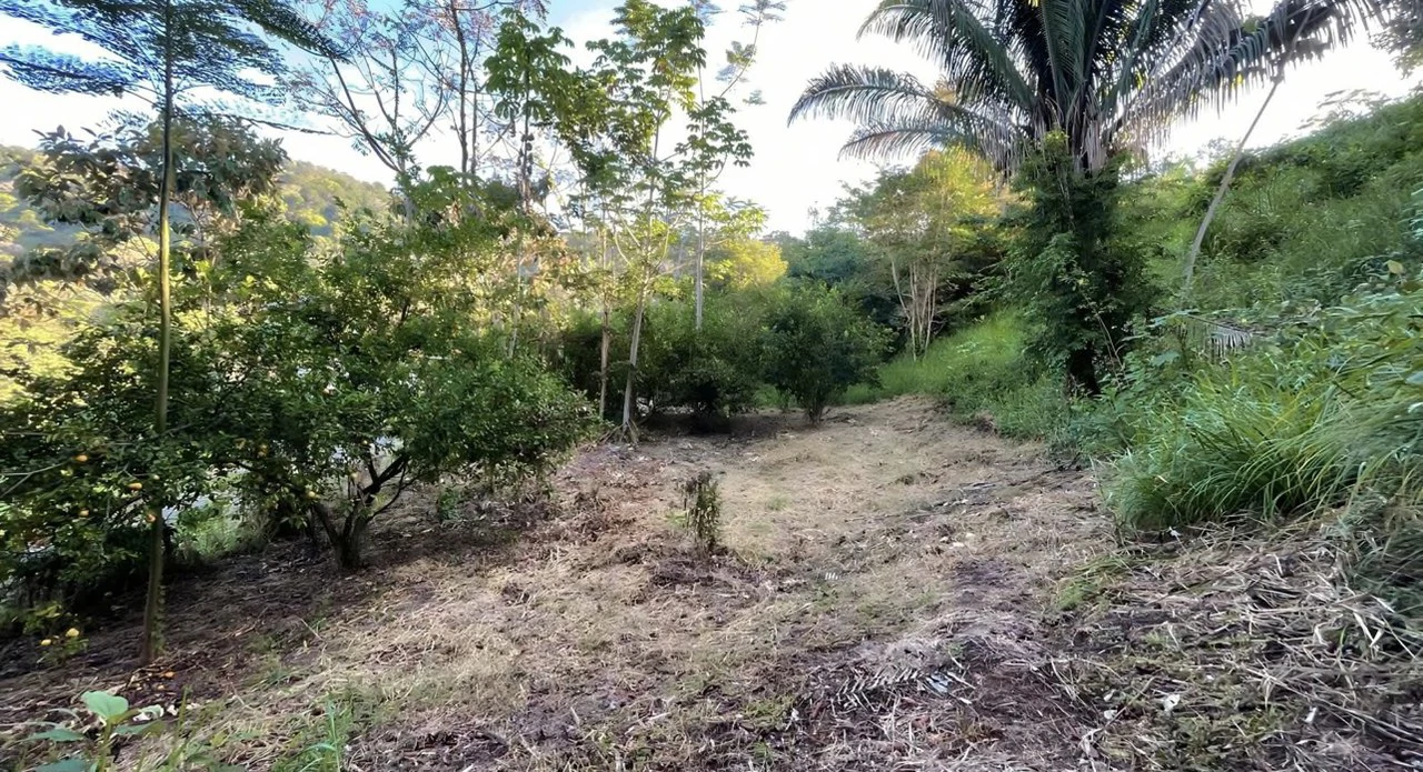 Exclusive Hermosa 1.2 Acre Lot with Panoramic Mountains and Ocean View. - Gallery image 11