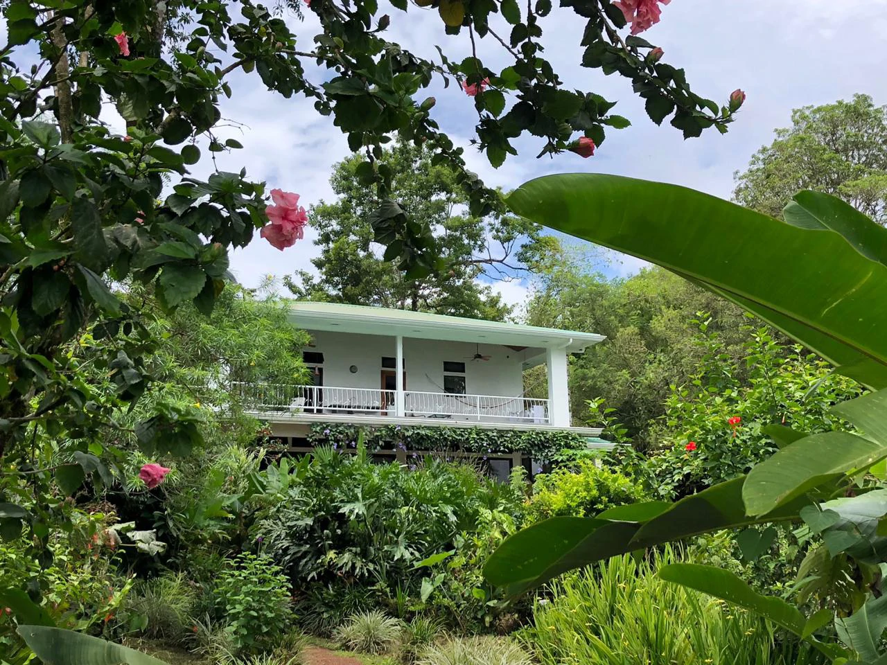 Villa Corazon: Unique LAKE FRONT property, 2 Villas and Tiny house on 5 acres with lake access. - Gallery image 8