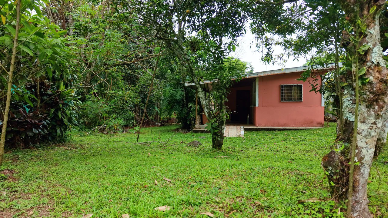 LOTE PLANO CON FRUTALES: Mountain Home Construction Site For Sale in General Viejo - Gallery image 12