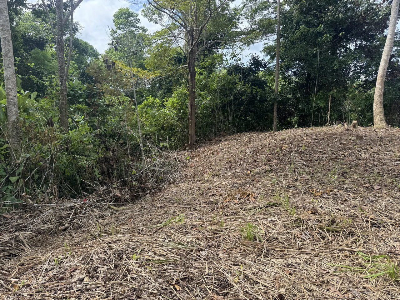 23.5 Acre Waterfall & Riverfront Estate Bahia Ballena Osa Peninsula - Gallery image 11