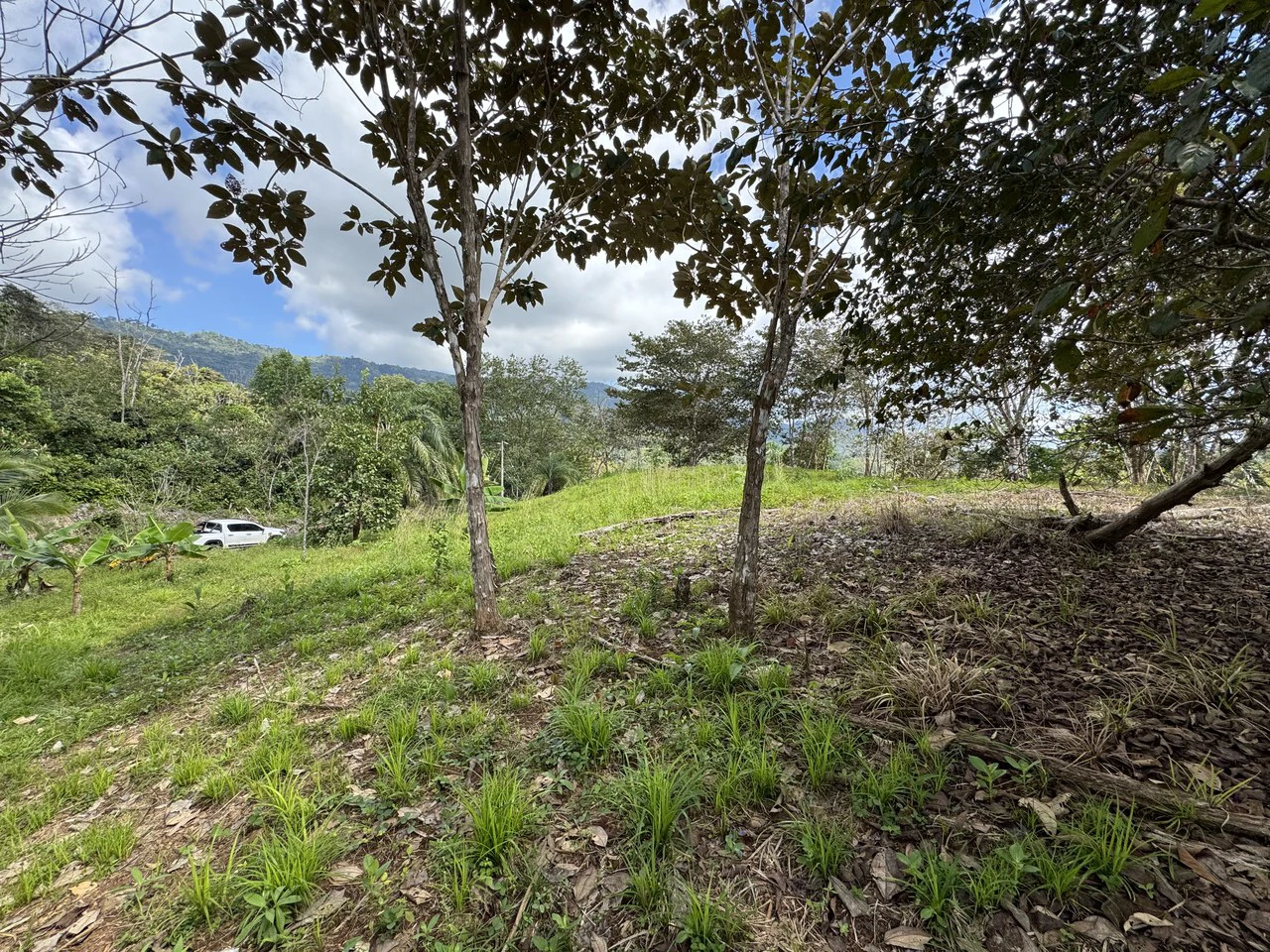 12 Acre Farm in Private Agricultural Community South of Ojochal