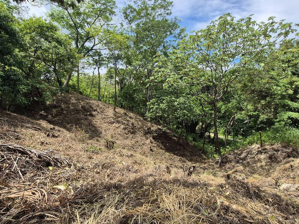 Lote Pilar: Affordable Building Lot Near Sámara - Gallery image 4