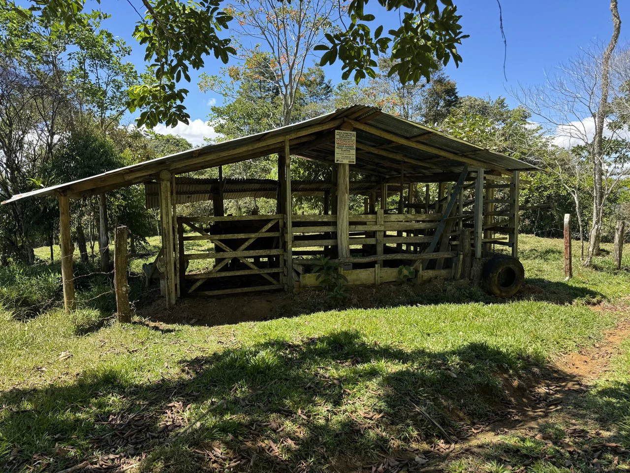 12.5 Acre Riverfront Mountain Estate with Valley and Chirripó Views - Gallery image 10