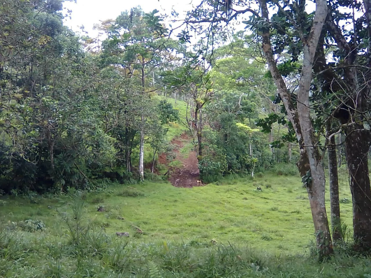 Cattle farm for sale in Aguas Claras with 1 corral and enchanting views - Gallery image 10
