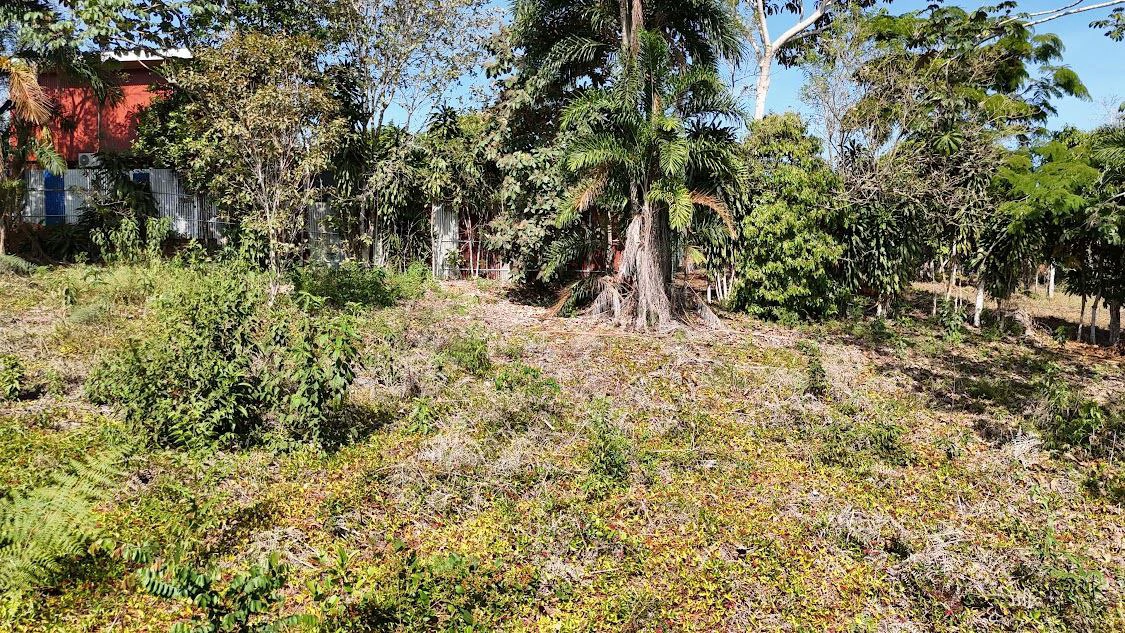 Home Construction Site For Sale in La Ceniza - Gallery image 19