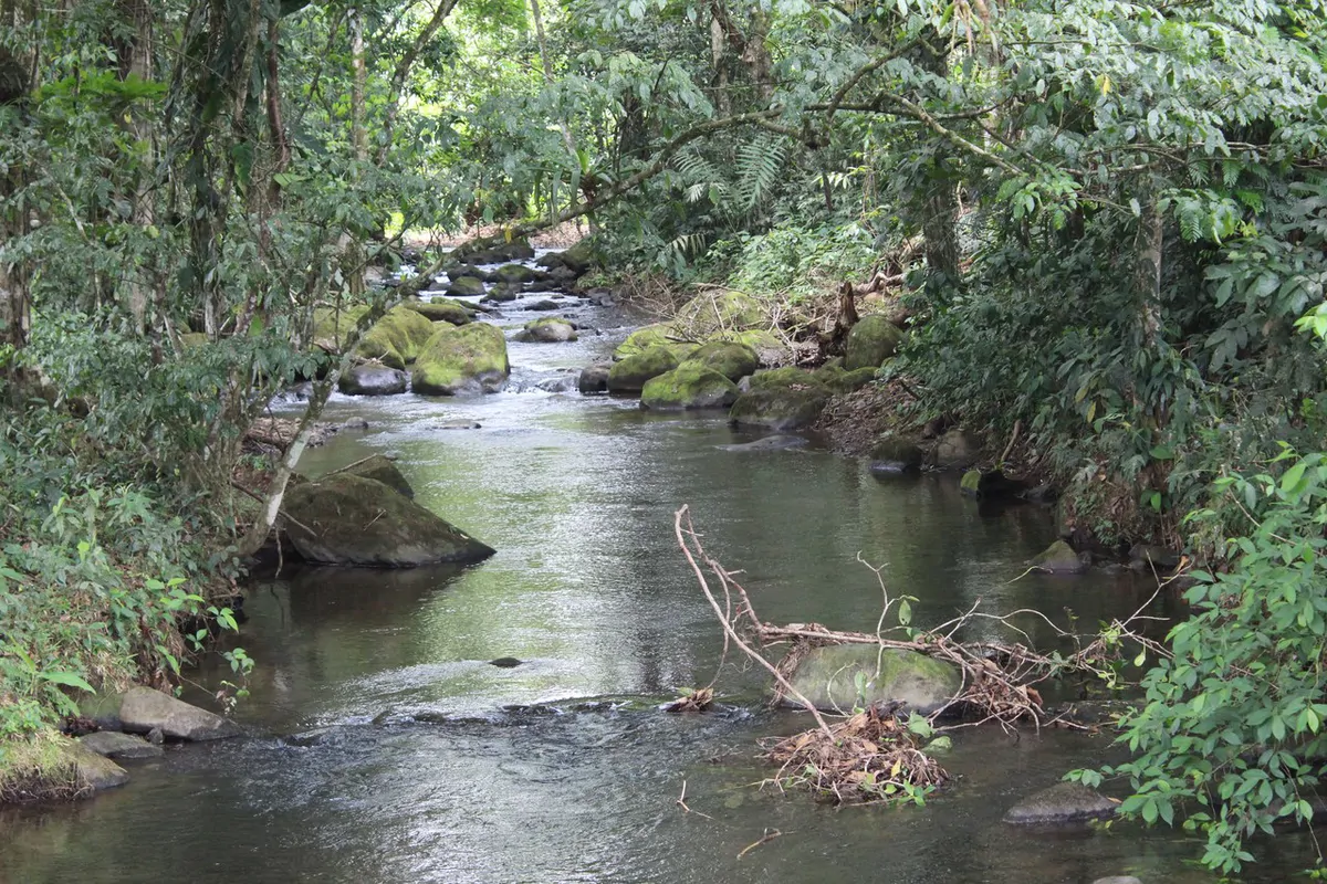 ECO SENDEROS: PRIVATE RAINFOREST RESERVE | 33 HA, LA VIRGEN DE SARAPIQUÍ