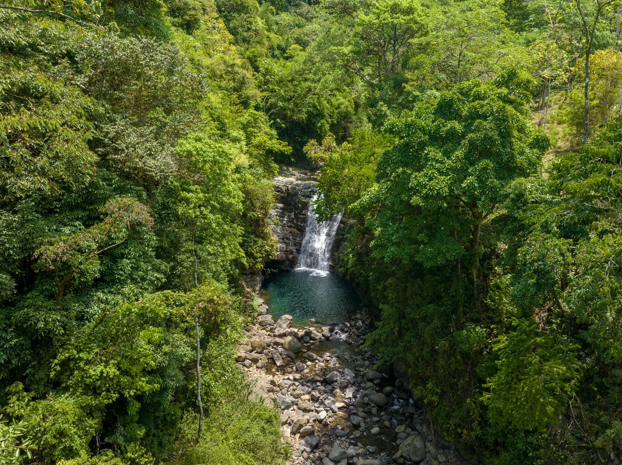 101 Acre Waterfall Riverfront and Ocean View Farm in Playa Uvita - Gallery image 14