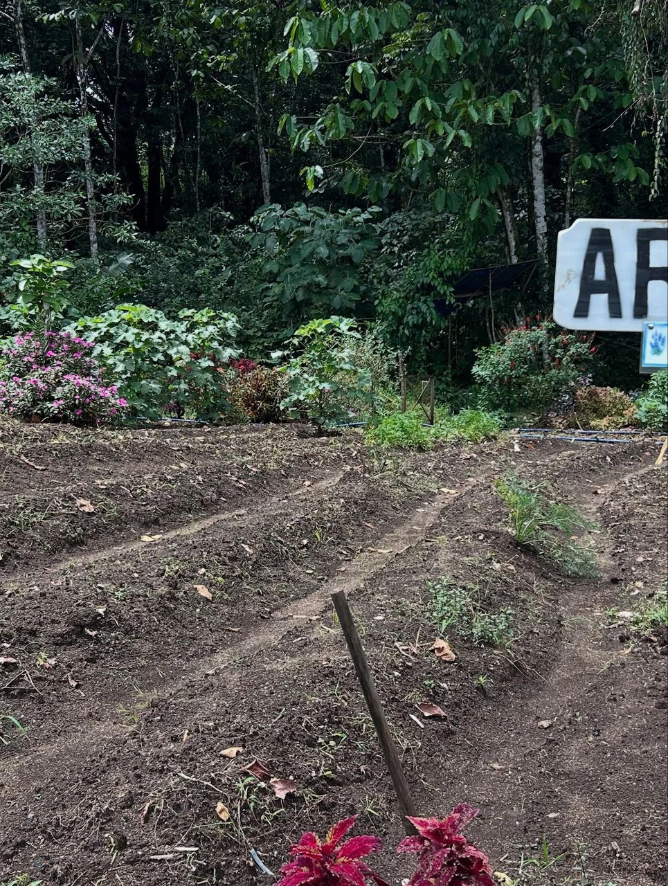 NATURES BOUNTY - Certified Organic Farm - Gallery image 17