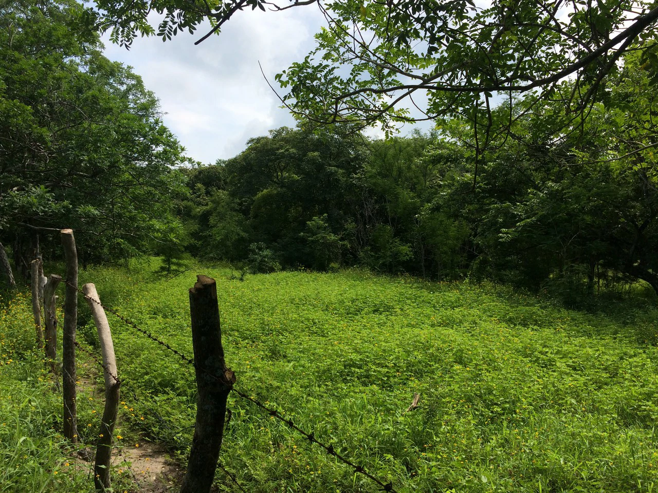 Commercial Airport Property for Sale in Liberia, Guanacaste Prime Frontage on Route #21 - Gallery image 6