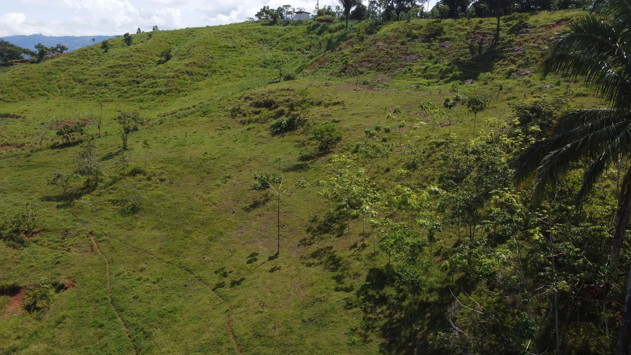8.78 Acres Mountain View Estate with Water, Infrastructure & Endless Development Potential | Platanillo de Barú, Costa Rica - photo 10