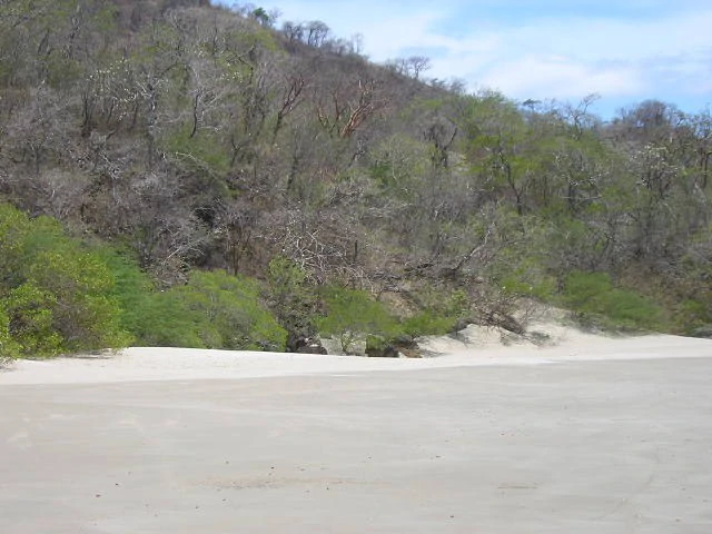 Playa Rajada, 10 HA, white sand beach: on the Pacific Ocean is located on the furthest  Northern Peninsula - Gallery image 5