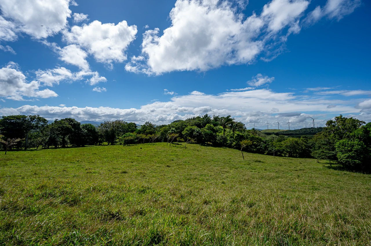 LA CABAÑA - COUNTRY ESTATE WITH HUGE POTENTIAL - Gallery image 48